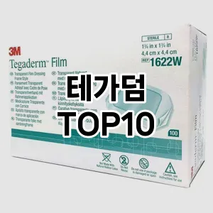 테가덤 추천 순위 TOP10 구매 가이드 12월 5주차