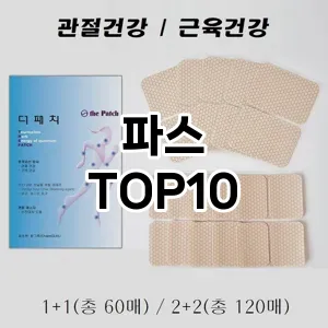 파스 추천 순위 TOP10 구매 가이드 12월 5주차