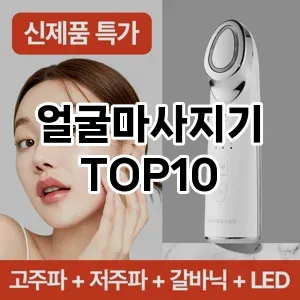 얼굴마사지기 추천 순위  TOP10 구매가이드 2024년 2월 4주차
