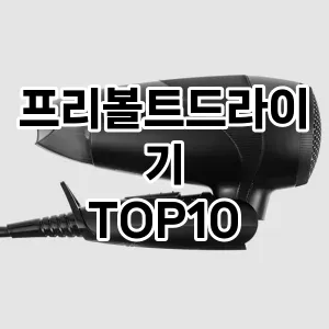 프리볼트드라이기 추천 순위  TOP10 구매가이드 2024년 3월 4주차